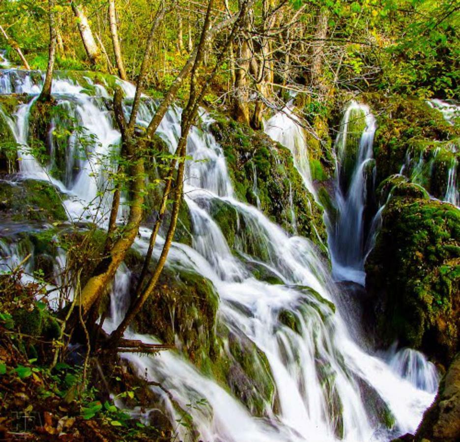 Отель Seoski Turizam Zilicina Rogatica Экстерьер фото