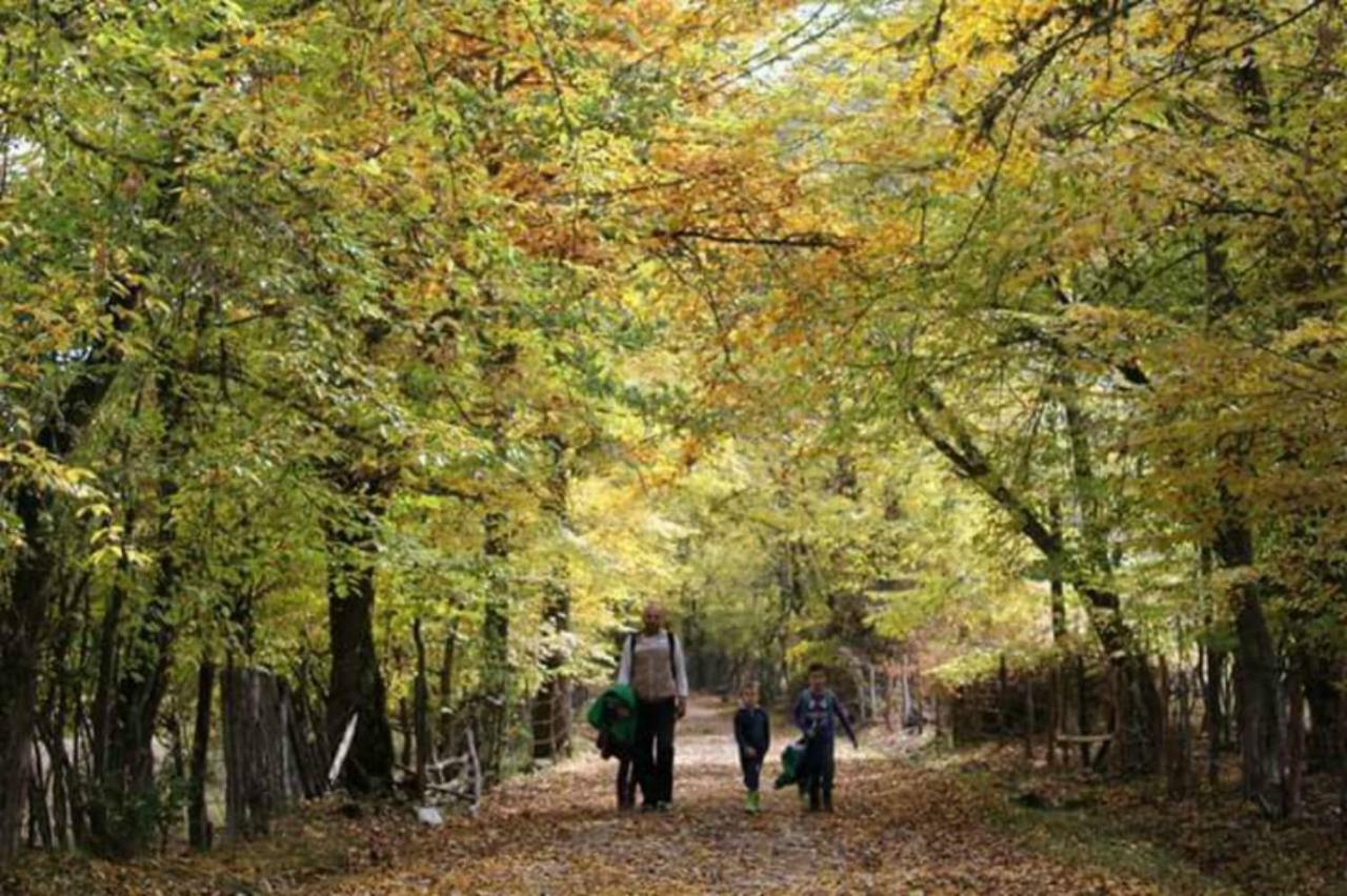 Отель Seoski Turizam Zilicina Rogatica Экстерьер фото